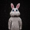 逃脱游戏兔子房间攻略附带下载-逃脱游戏兔子房间手机最新版下载v1.0.5