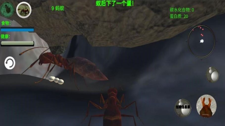 奇妙动物世界探险游戏最新版