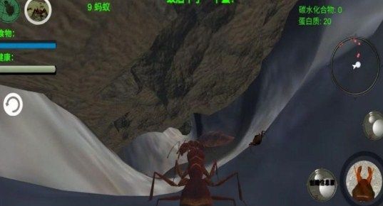 奇妙动物世界探险游戏官方安卓版下载-奇妙动物世界探险游戏最新版下载v1.0