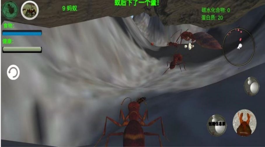 奇妙动物世界官方版