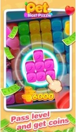 宠物爆炸谜题(Pet Blast Puzzle)最新版安卓