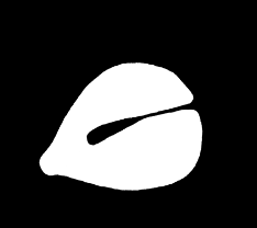 木鱼念经助手下载-木鱼app功德加一下载v1.0