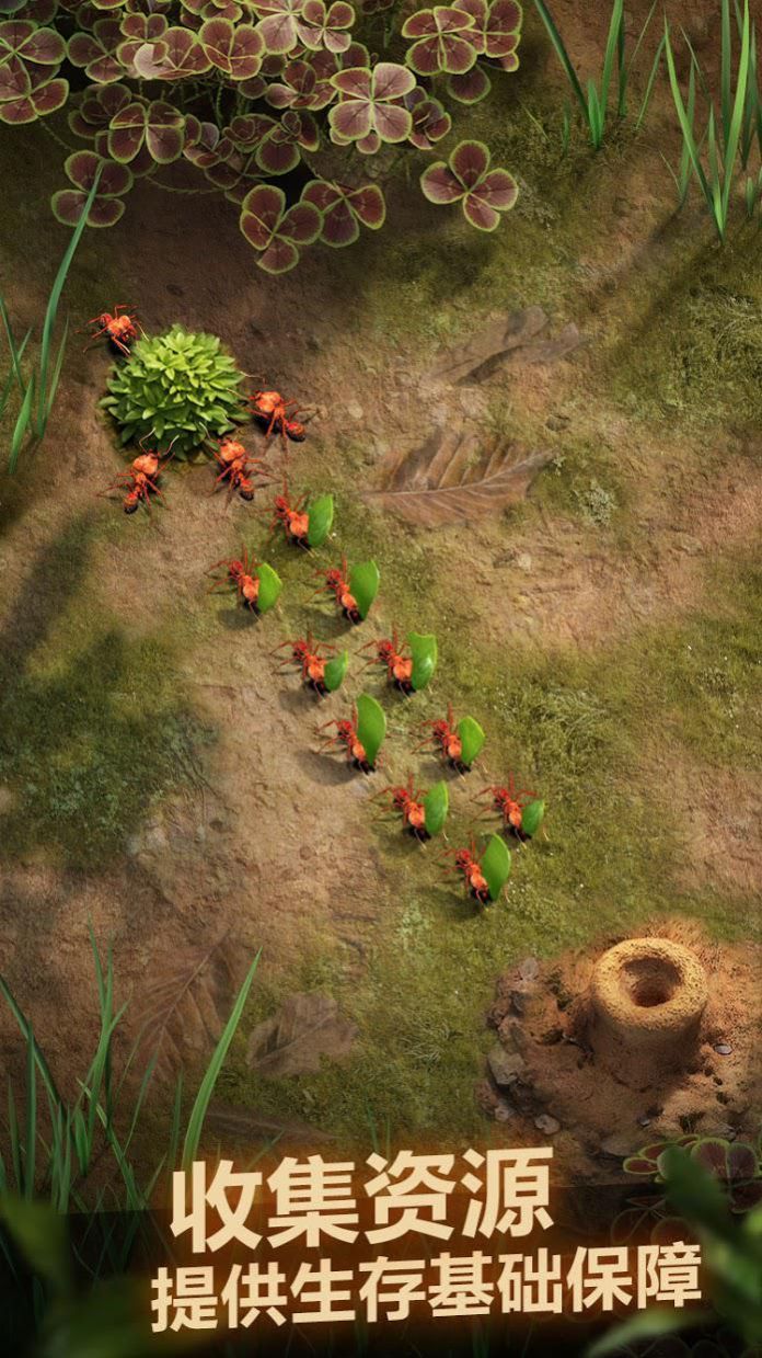 小小蚁国蚁族总动员手游官方版 下载-小小蚁国蚁族总动员手游最新版下载v1.31.0