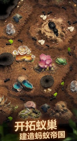小小蚁国蚁族总动员手游官方版 下载-小小蚁国蚁族总动员手游最新版下载v1.31.0