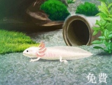 治愈的蝾螈下载-治愈的蝾螈2022安卓最新版下载v1.7