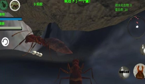 奇妙动物世界探险手游下载-奇妙动物世界探险正式版下载v1.0