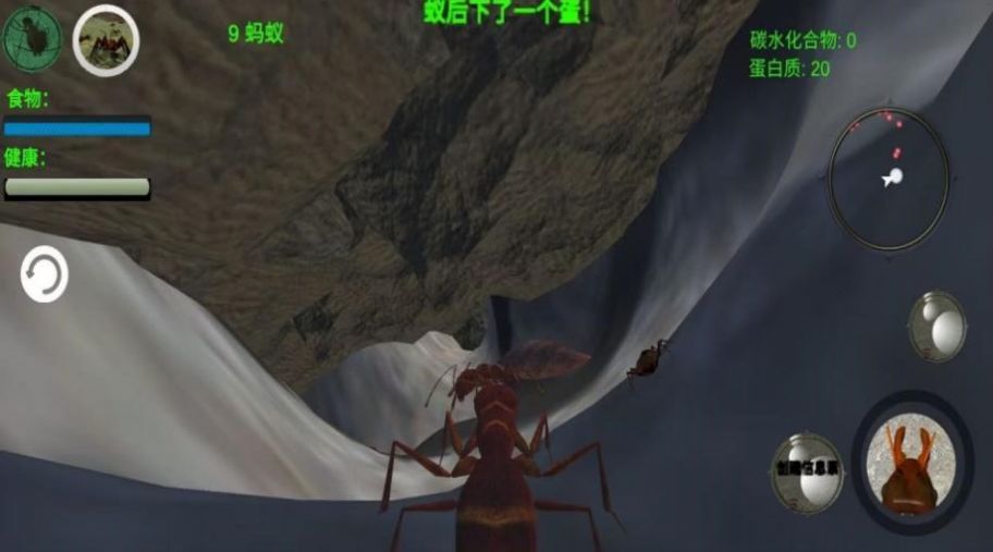 奇妙动物世界探险手游下载-奇妙动物世界探险正式版下载v1.0