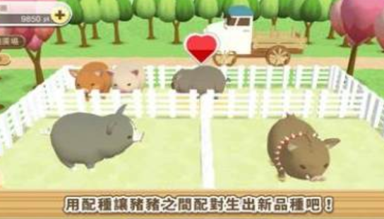 养猪场3D最新版下载-养猪场3D安卓中文版下载v4.88