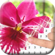 花朵着色手机版