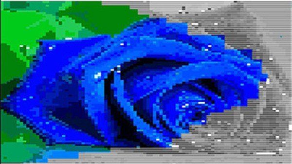 花朵着色游戏下载-花朵着色手机版下载v1