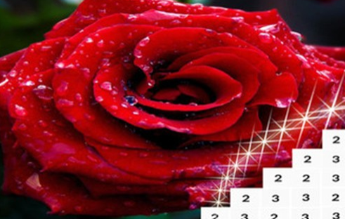 花朵着色手机版