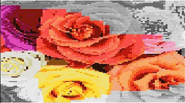 花朵着色手机版