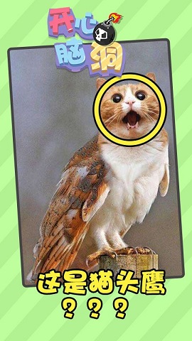 开心脑洞游戏下载-开心脑洞游戏最新版下载v1.7.9