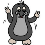 小动物冒险日记正式版