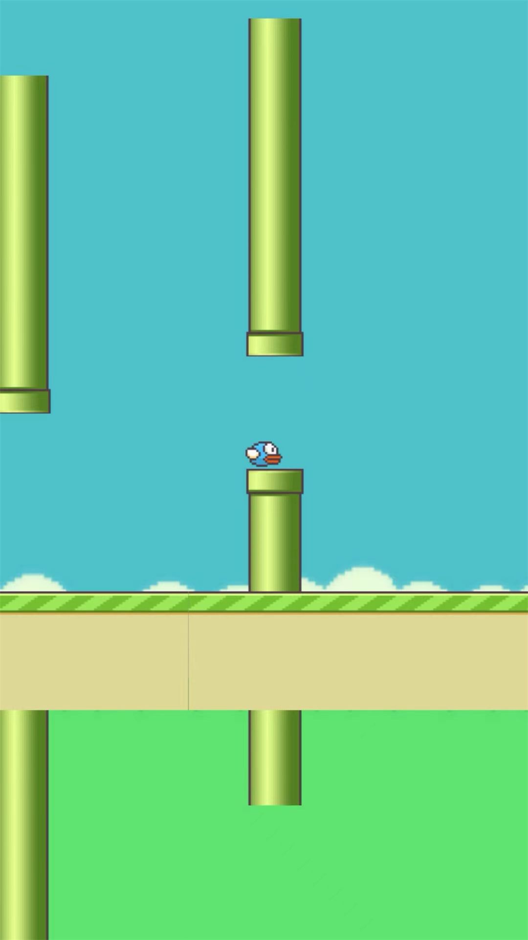 笨鸟努努下载-笨鸟努努游戏官方版安卓下载v1.1