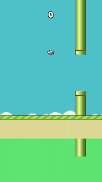 笨鸟努努最新版