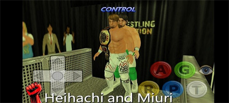 环斗摔跤3D下载-环斗摔跤3D游戏安卓版最新下载v1.5