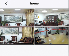 小强当家app下载-小强当家下载v3.2.6