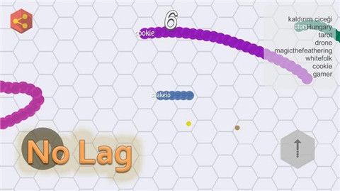 nakeio贪吃蛇最新版下载-nakeio贪吃蛇游戏下载v1.18.05