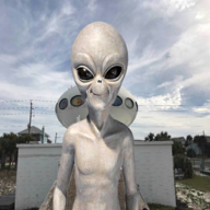 外星人狩猎AR安卓版