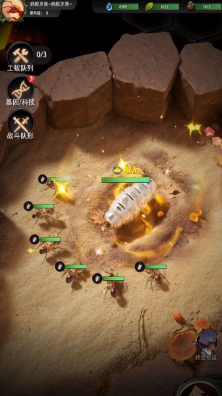 开局一只蚁官方版