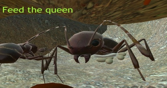 蚂蚁模拟器中文版下载-蚂蚁模拟器无限金币钻石版下载v2.5.5