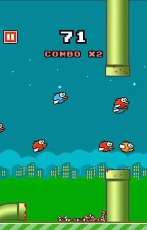 笨鸟先碎最新版