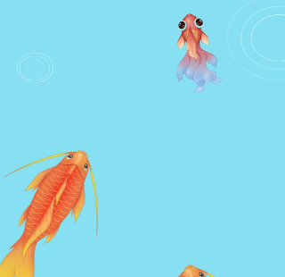 召唤神龙万宁版下载免广告-召唤神龙万宁版免广告最新版v1.0.14