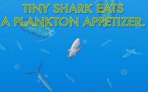 小金鱼进化史2官方版2022安卓最新