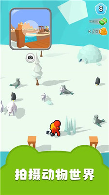 拍摄动物世界游戏