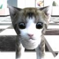 猫咪在密室解谜游戏下载-猫咪在密室安卓版下载v0.13