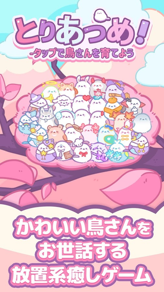 小鸟收集游戏安卓最新版