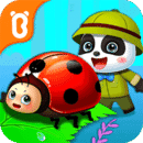 奇妙昆虫日记手机版安卓