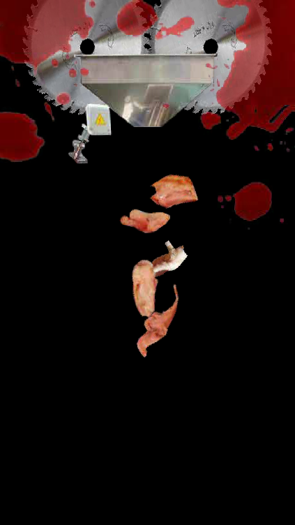 养一只坤坤手机版下载-养一只坤坤安卓最新版下载v1.0.12