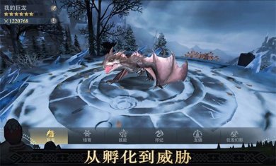 异鬼围城100天最新版下载-异鬼围城100天官方版手游下载v15.0.0