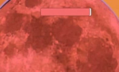 迈特凯幸存者(破解版)