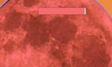 3ae7e82b-4978-4fd2-9123-578f476b43eb