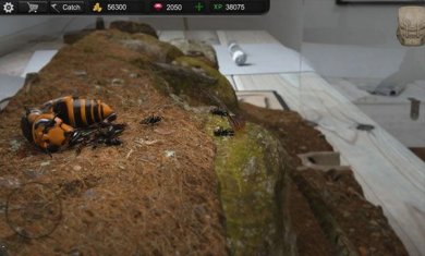 蚂蚁模拟大亨汉化版下载-蚂蚁模拟大亨汉化破解版下载v2.6