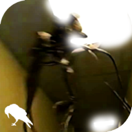 暗房backrooms游戏联机版