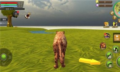 small_1673833878Tzj7