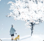 忘雪中文版下载安装最新版