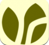 亦如茶安卓版