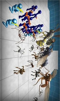 虫子入侵官方版下载-虫子入侵手机版下载v1.0