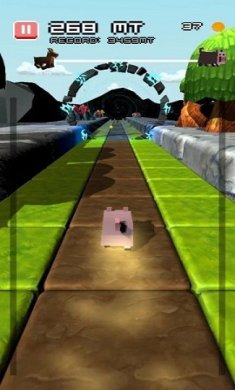 小猪狂奔游戏下载-小猪狂奔安卓版下载v1.6.2
