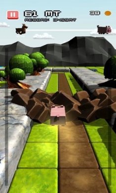 小猪狂奔游戏下载-小猪狂奔安卓版下载v1.6.2