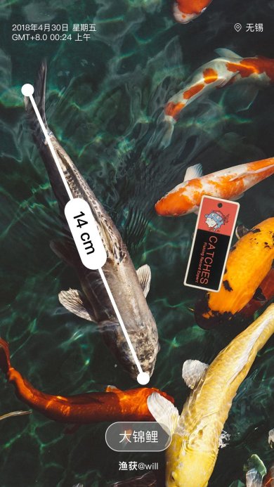 渔获下载-渔获正式版下载v3.9.77