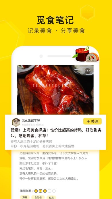 觅食蜂下载-觅食蜂正式版下载V4.0.3