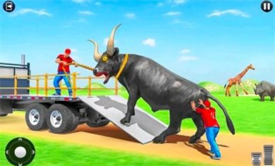 真实动物园安卓版免费