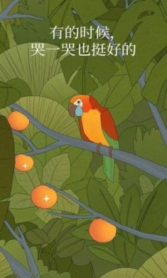 孤独的鸟儿安卓版免费