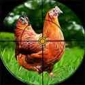 猎鸡挑战游戏下载-猎鸡挑战手机版下载v0.1